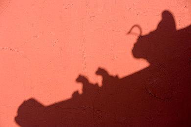 冒险游戏《伊甸门：生命边界》新预告 10月发售